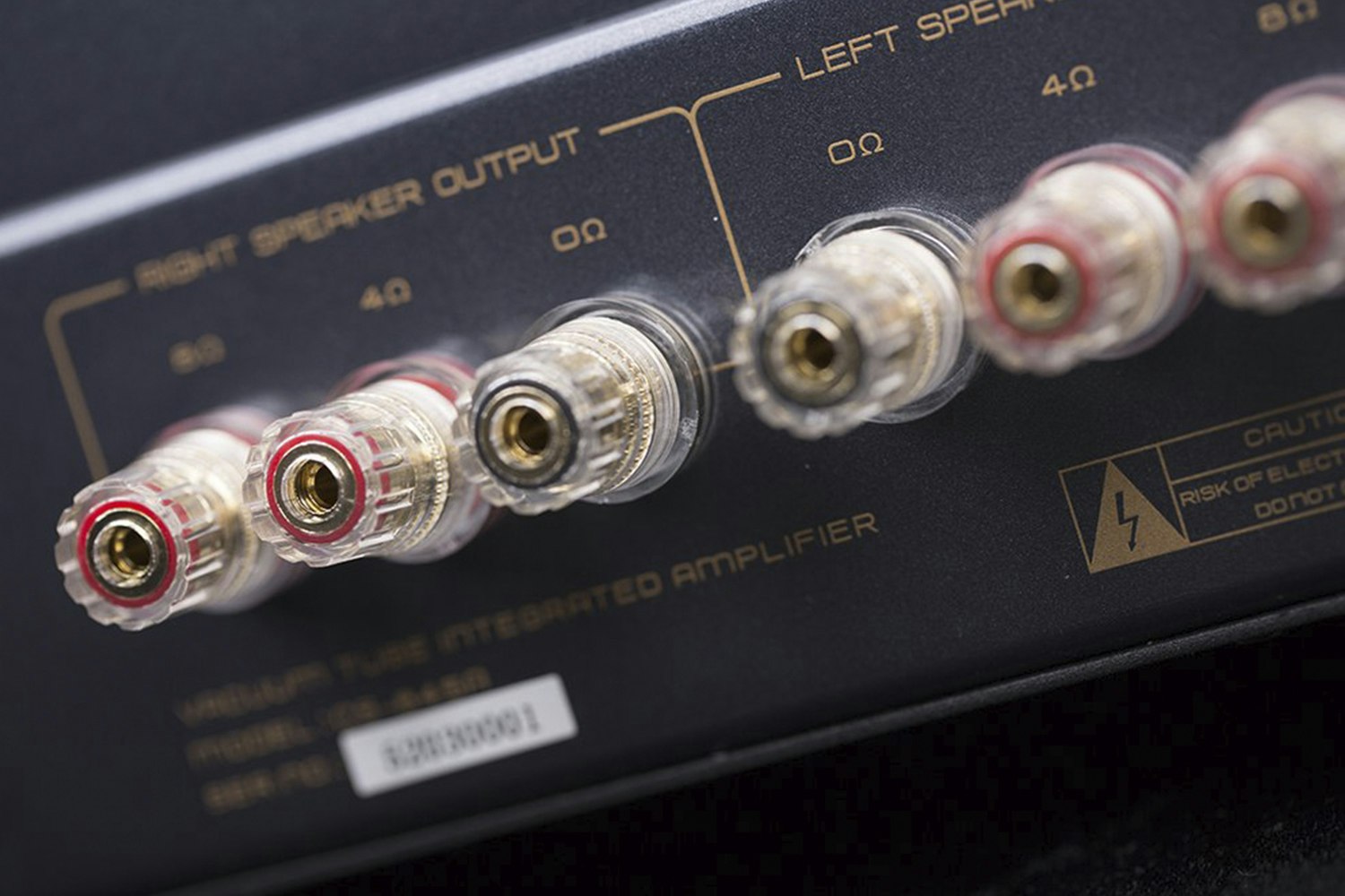 Cayin CS-845A Tube Integrated Amplifier