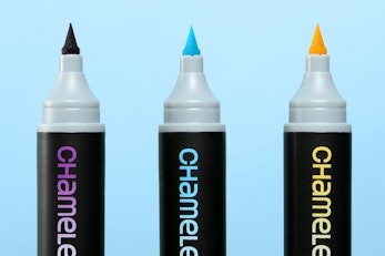 Chameleon Markers and Coloring Books Bundle