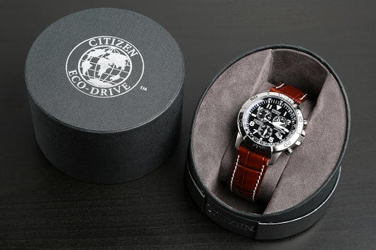 Citizen Eco-Drive Titanium BL5250-02L Watch