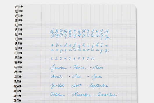 Clairefontaine French Ruled A4 Notebook (4-Pack)