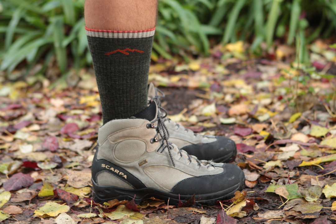 Darn Tough Hiker Cushioned Boot Sock (2-Pack)