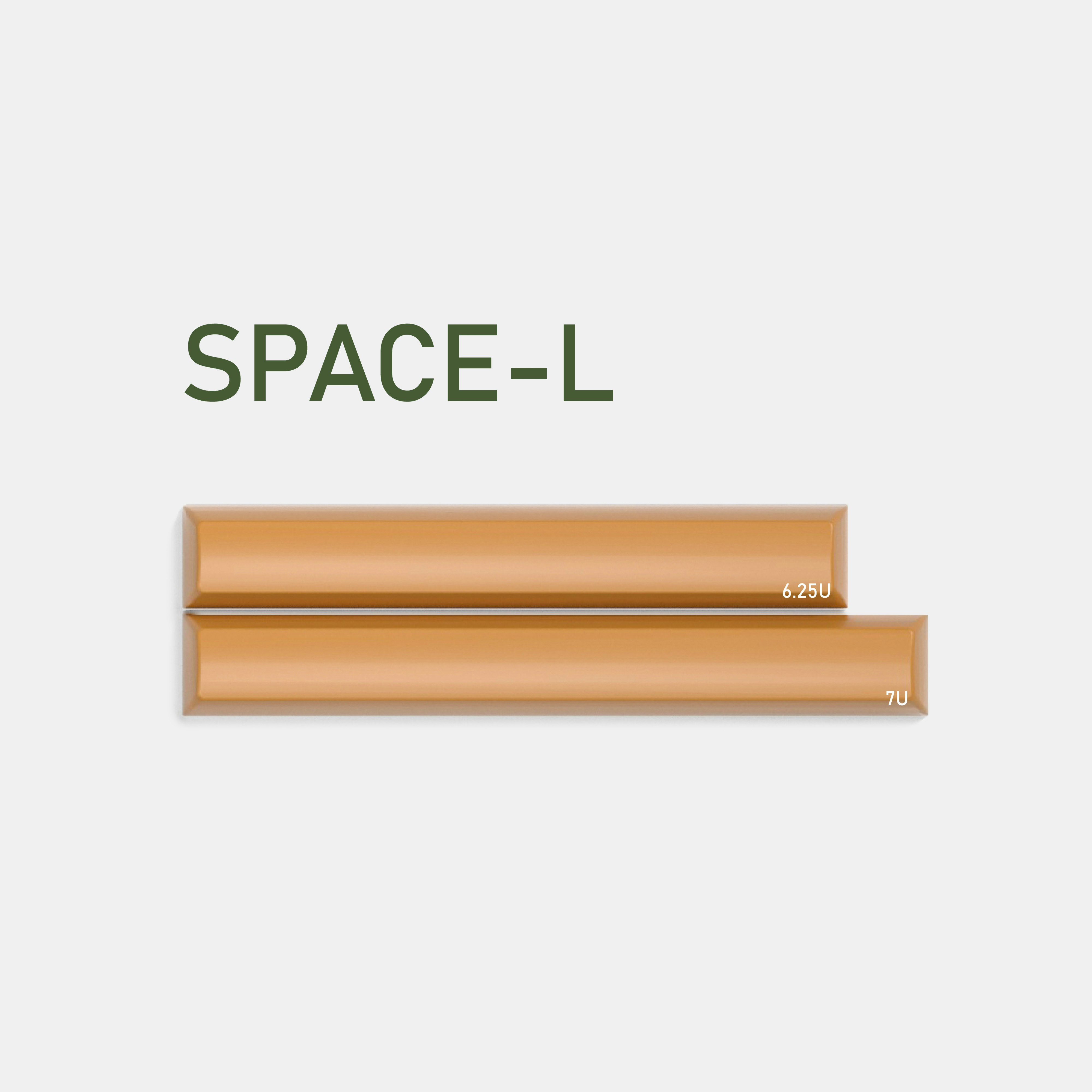 Space-L