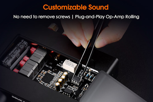 Douk Audio A5 Hi-Fi Power Amplifier