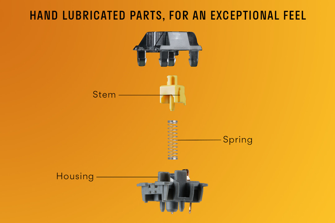 Drop Holy Panda X Hand-Lubed Mechanical Switches