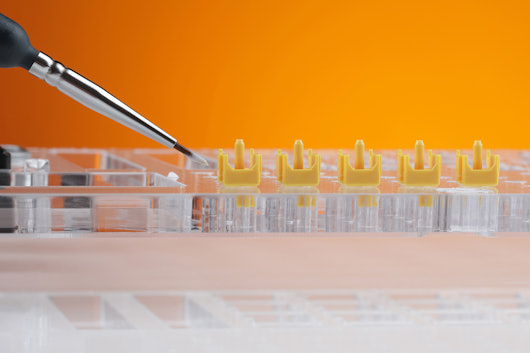 Drop Holy Panda X Hand-Lubed Mechanical Switches