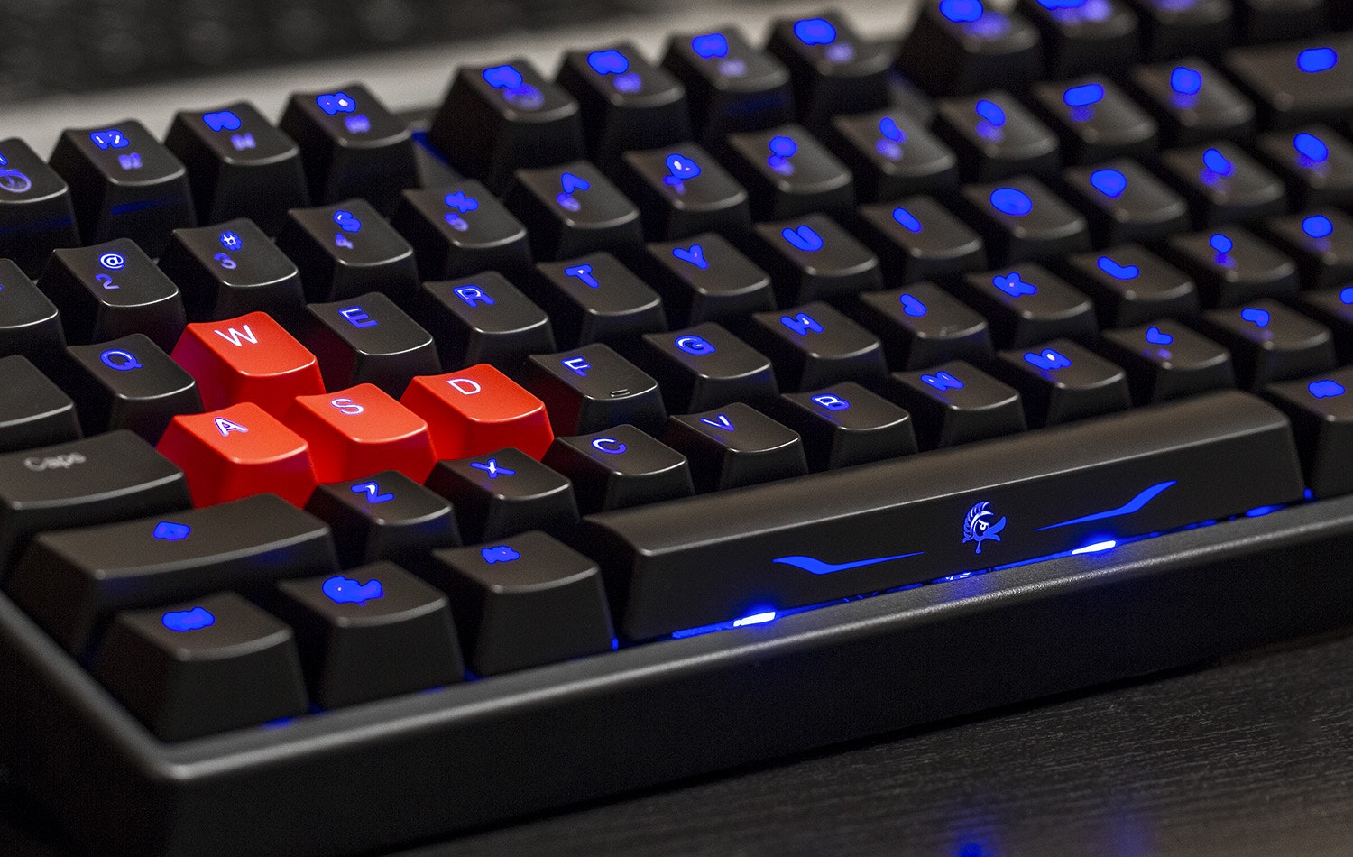 Ducky Shine 3 Keyboard Bundle Price & Reviews Drop