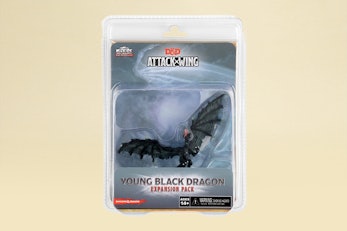 Young Black Dragon