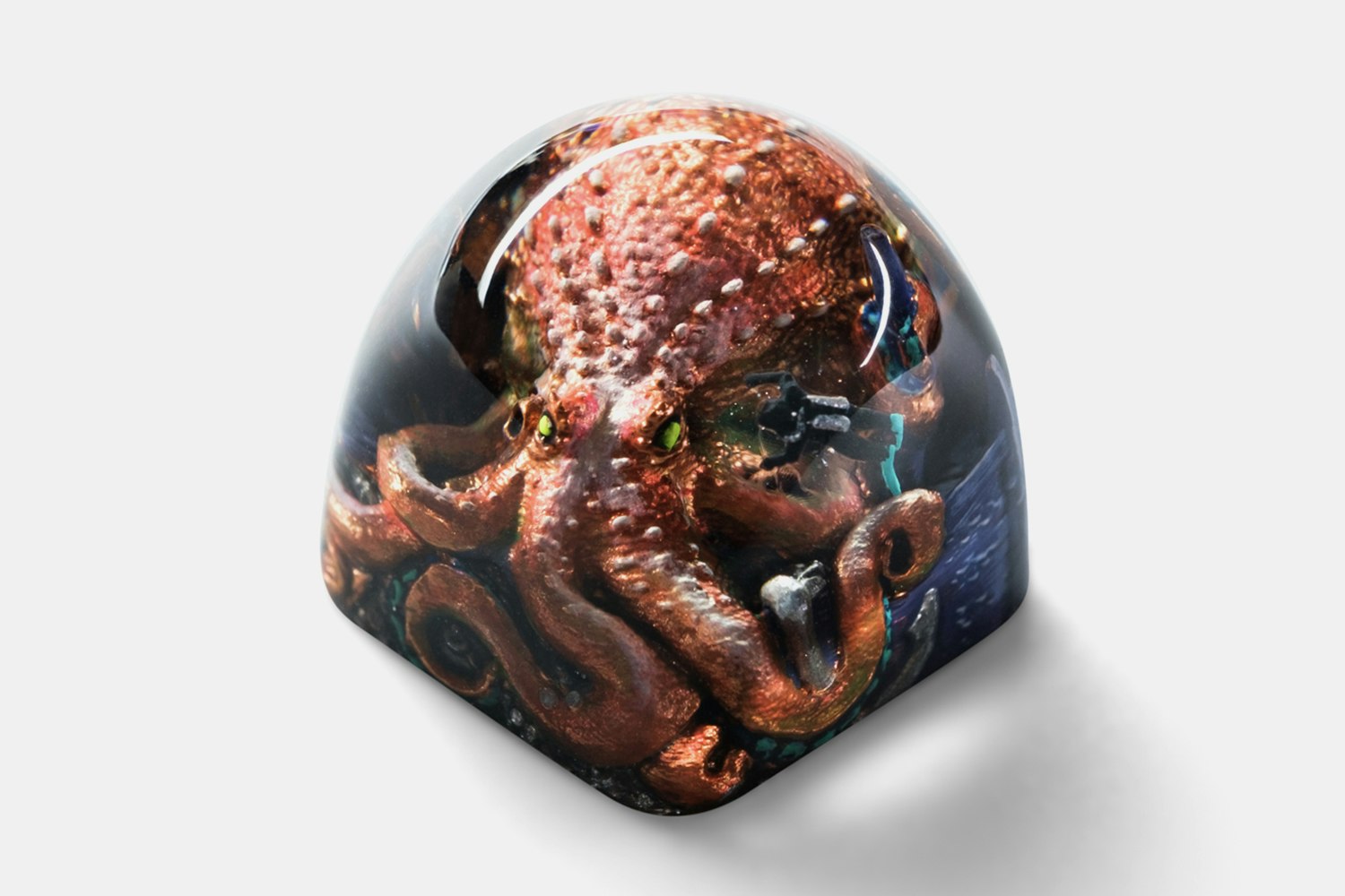 Velvet Thunder - DOM