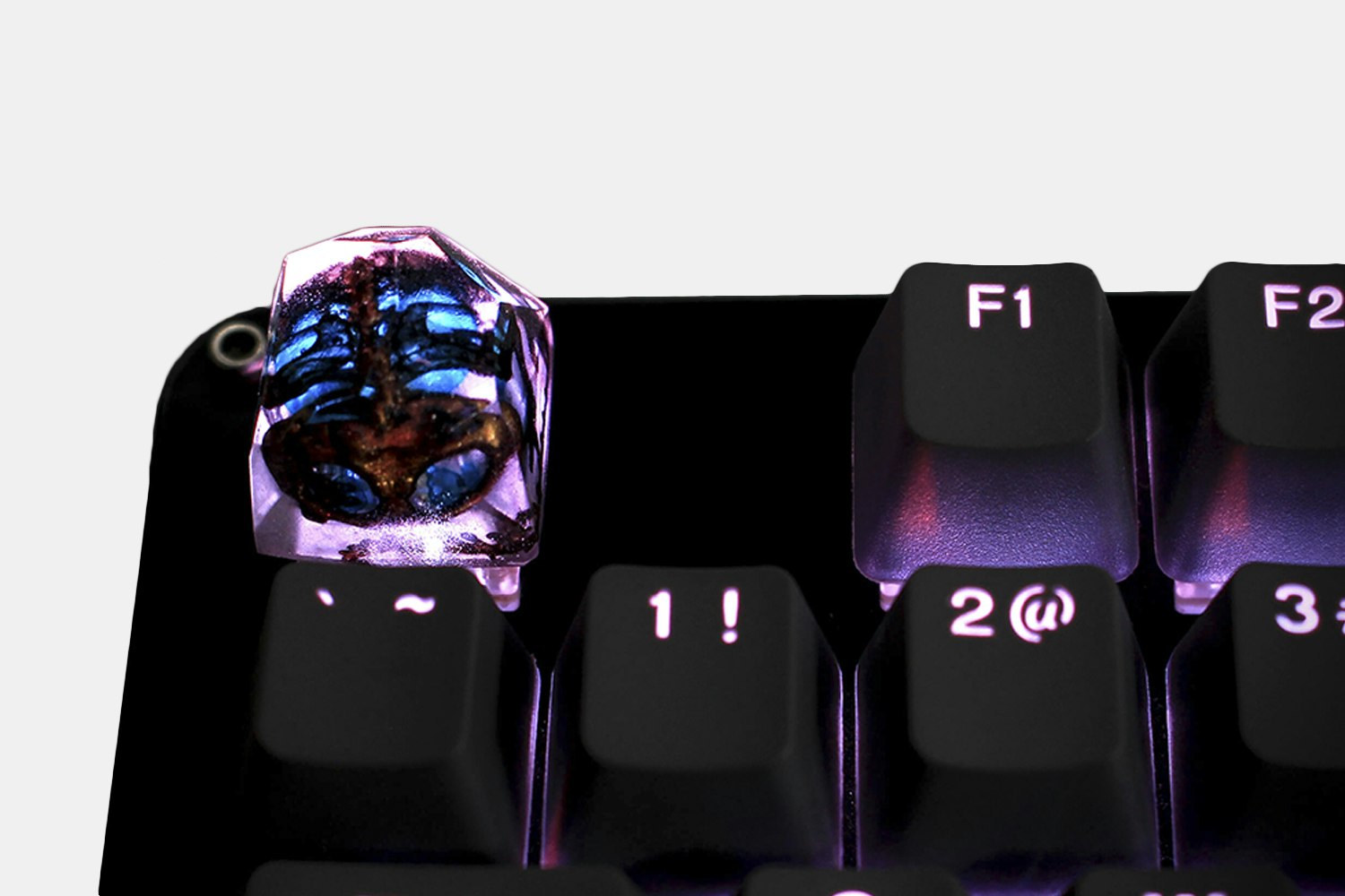 Dwarf Factory Spooky Fossil Artisan Keycap
