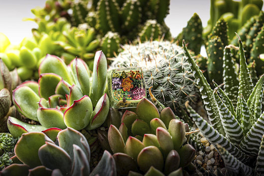 Dwarf Factory Terrarium Resin Artisan Keycap