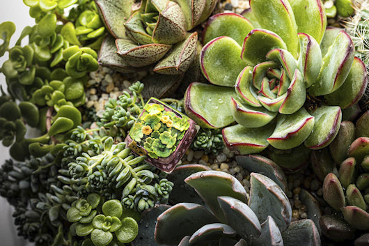 Dwarf Factory Terrarium Resin Artisan Keycap