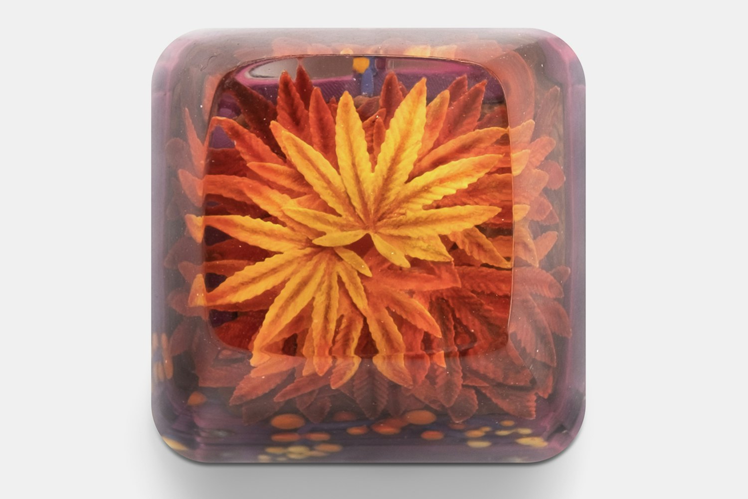 Dwarf Factory Terrarium V2 Rasta Artisan Keycap