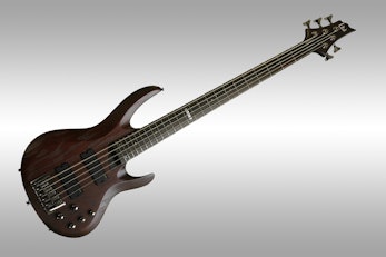 ESP LTD B-335 Stain Brown