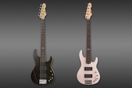 ESP Bass Guitar E-II AP 5 String
