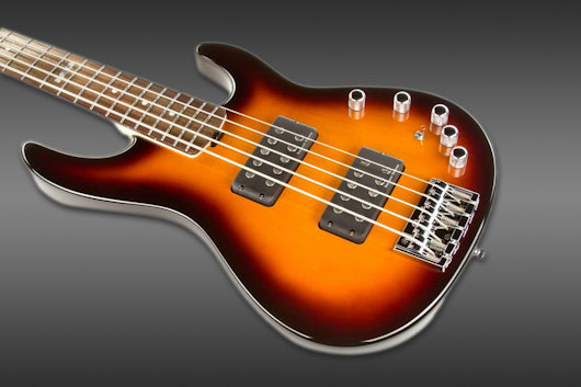 ESP Bass Guitar E-II AP 5 String