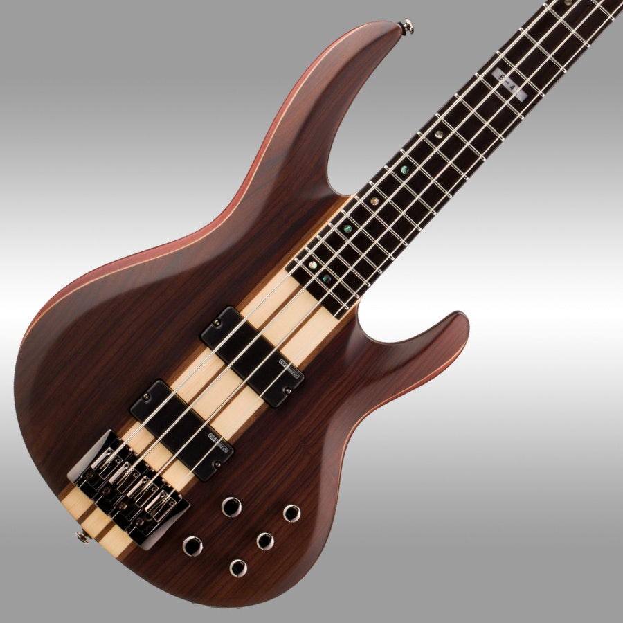 ESP LTD Electric Bass B-Stock Special | Audiophile | Instruments