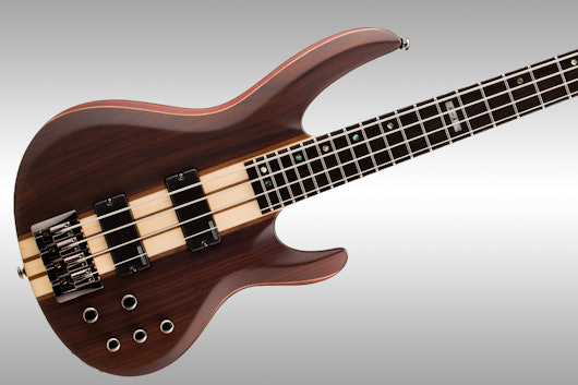 ESP LTD Electric Bass B-Stock Special