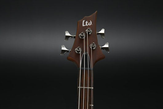 ESP LTD B-Stock D-4 Electric Bass Guitar