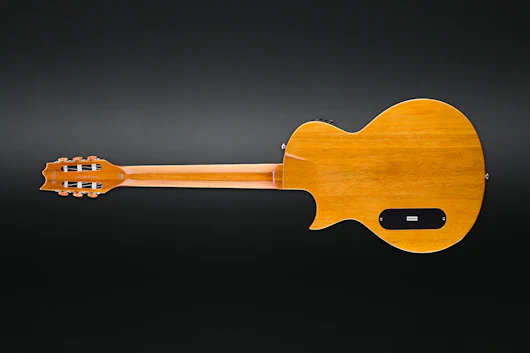 ESP LTD B-Stock TL-6 Acoustic-Electric Guitar