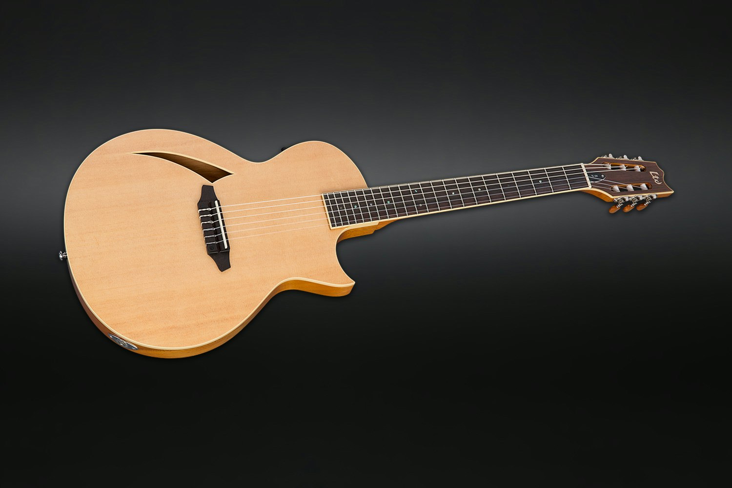 ESP LTD B-Stock TL-6 Acoustic-Electric Guitar | Audiophile 