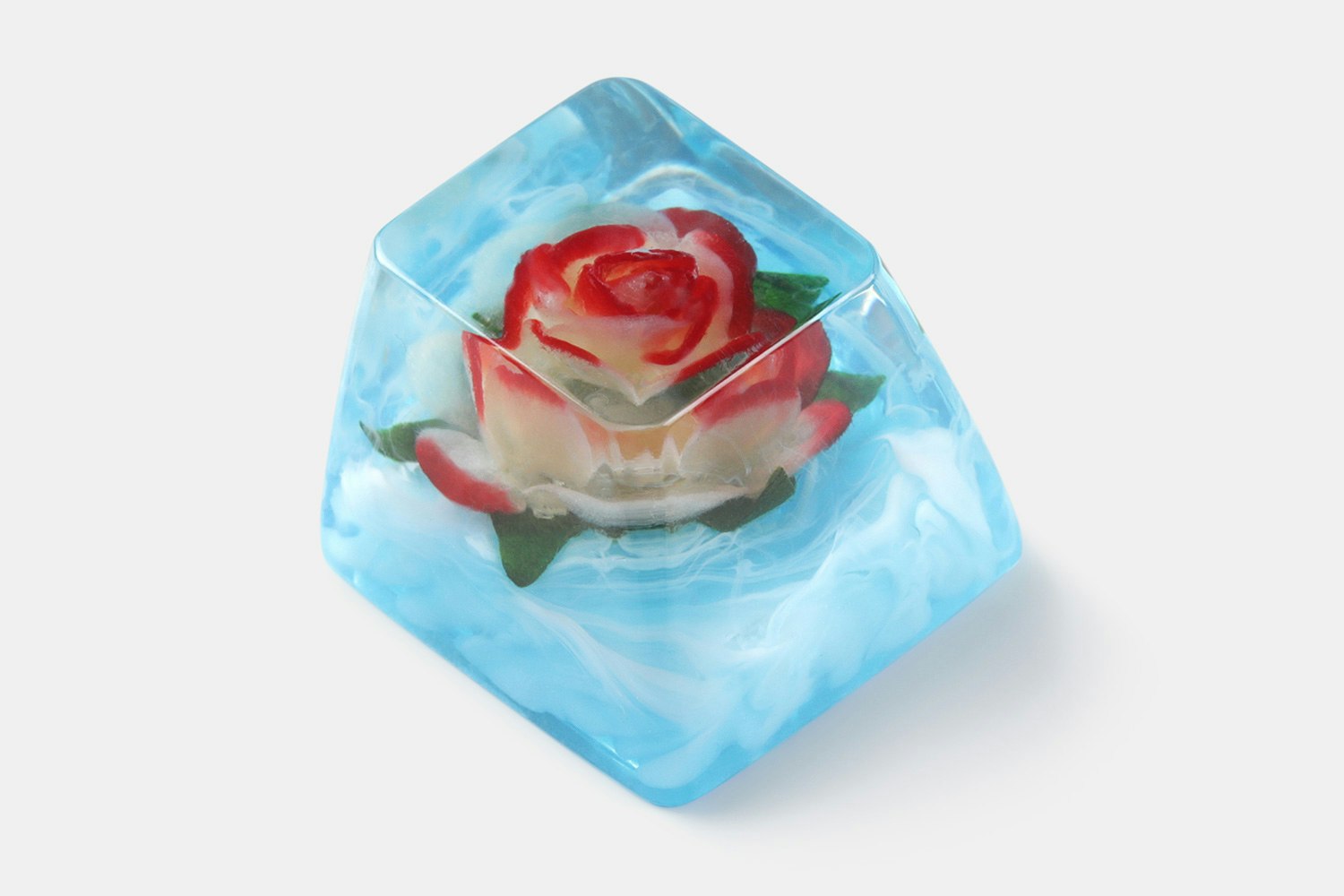 Rosa Double Delight Heaven