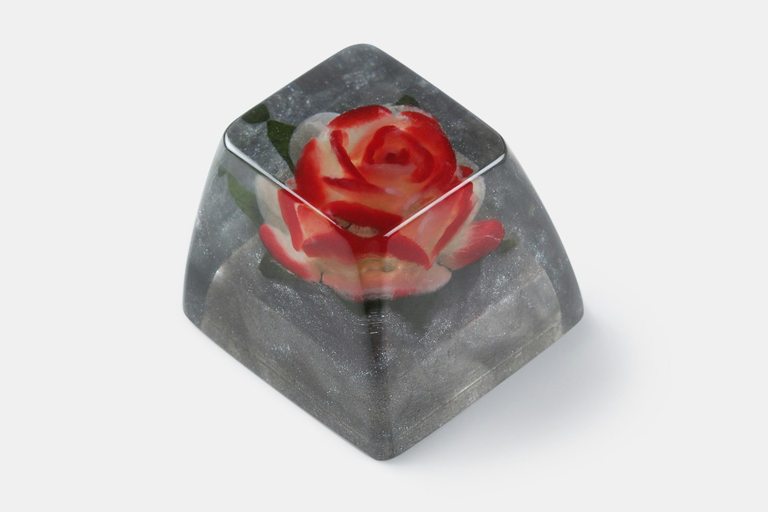 Rosa Double Delight Pollution