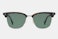 FF M0003/S - 086/QT Sunglasses - Dark Havana - Green