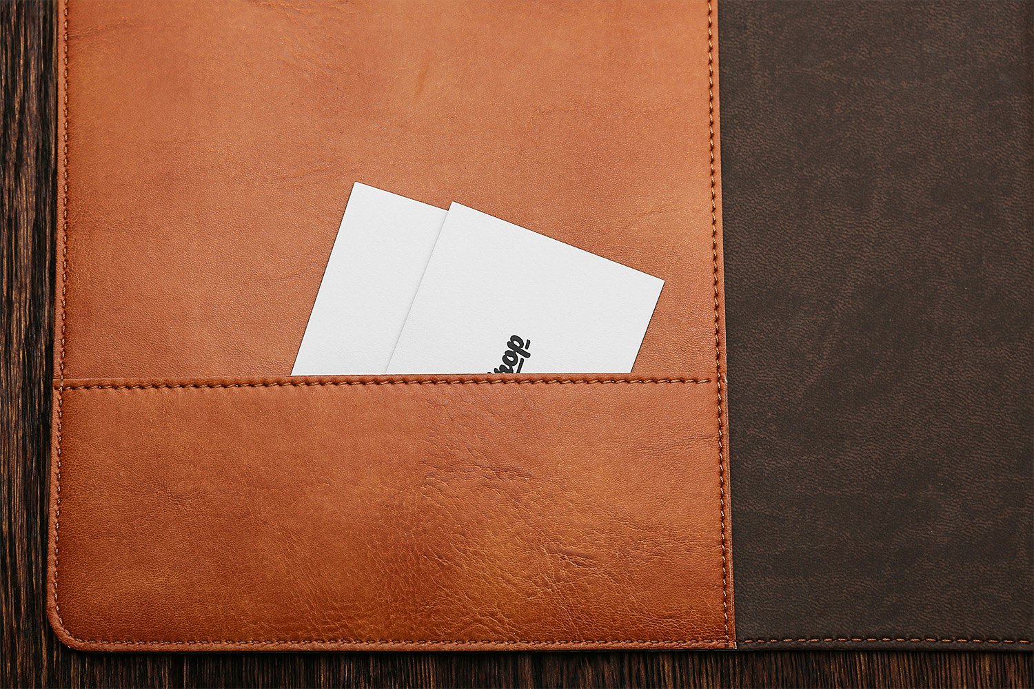 Fiorentina Bicolor Leatherette Portfolio