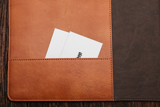 Fiorentina Bicolor Leatherette Portfolio