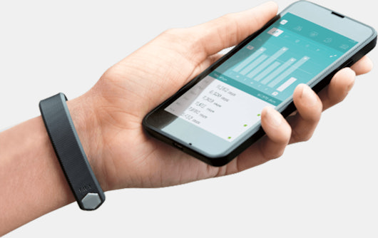 Fitbit Versa Lite/Alta HR (Large) Activity Tracker