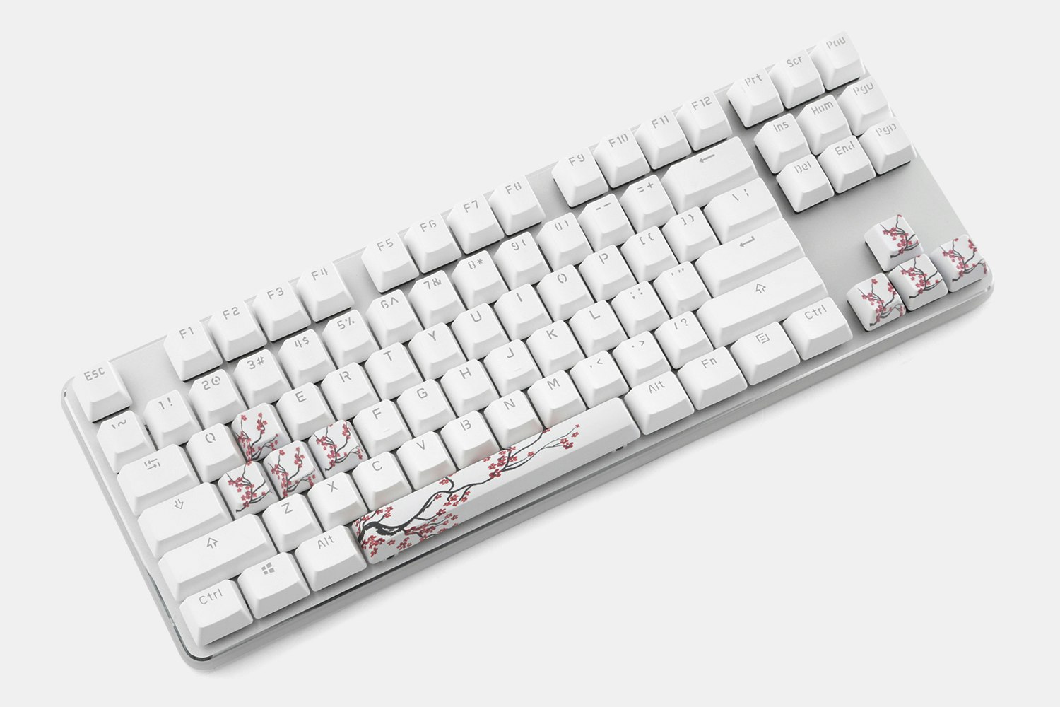 White & Plum Blossom