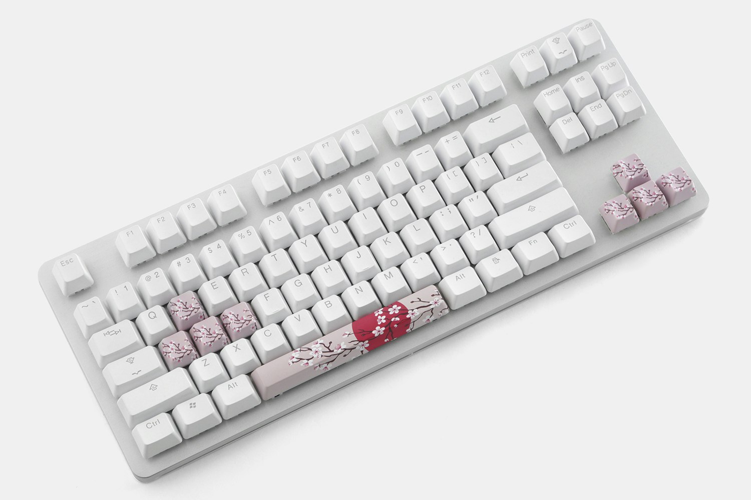 Sun & Cherry Blossom