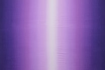 11216205 – Purple