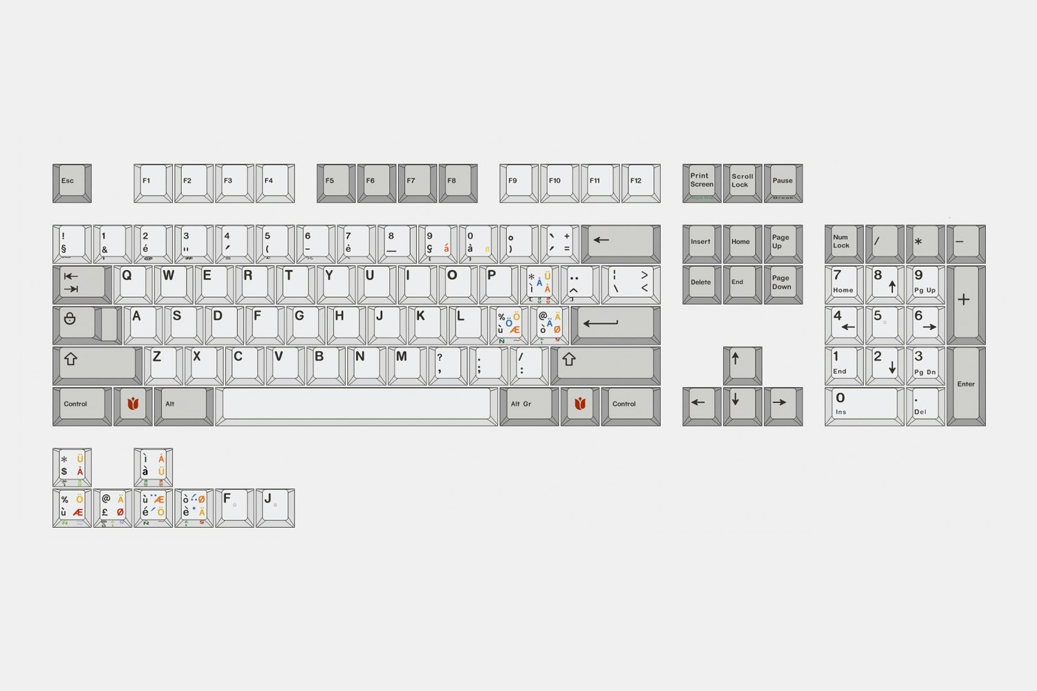 Tulip OG ANSI (+ $25)