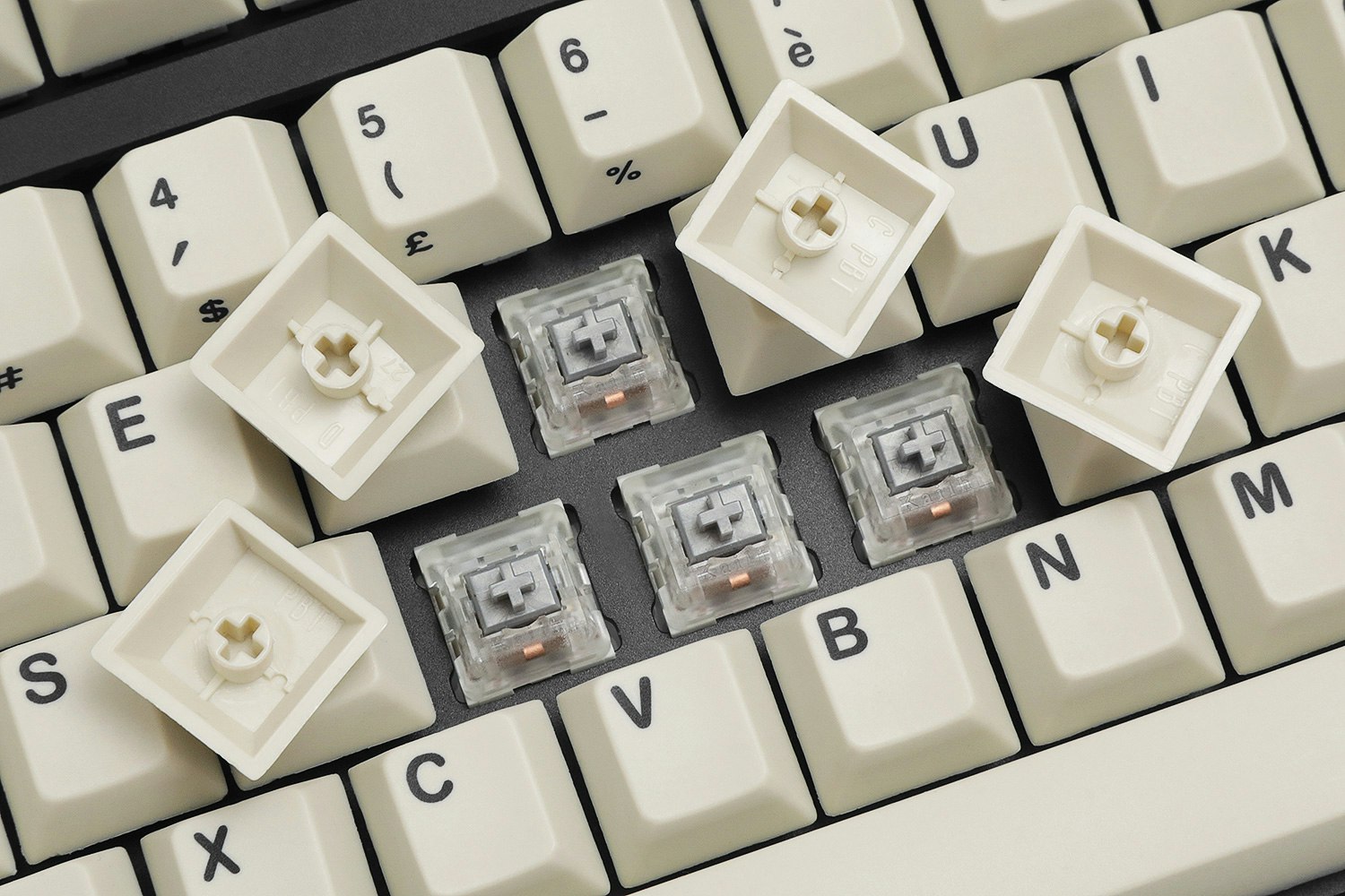 HammerWorks CRP Tulip/Peacock R3 Dye-Subbed PBT Keycaps