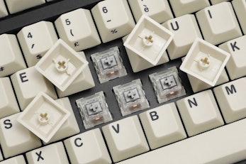 HammerWorks CRP Tulip/Peacock R3 Dye-Subbed PBT Keycaps