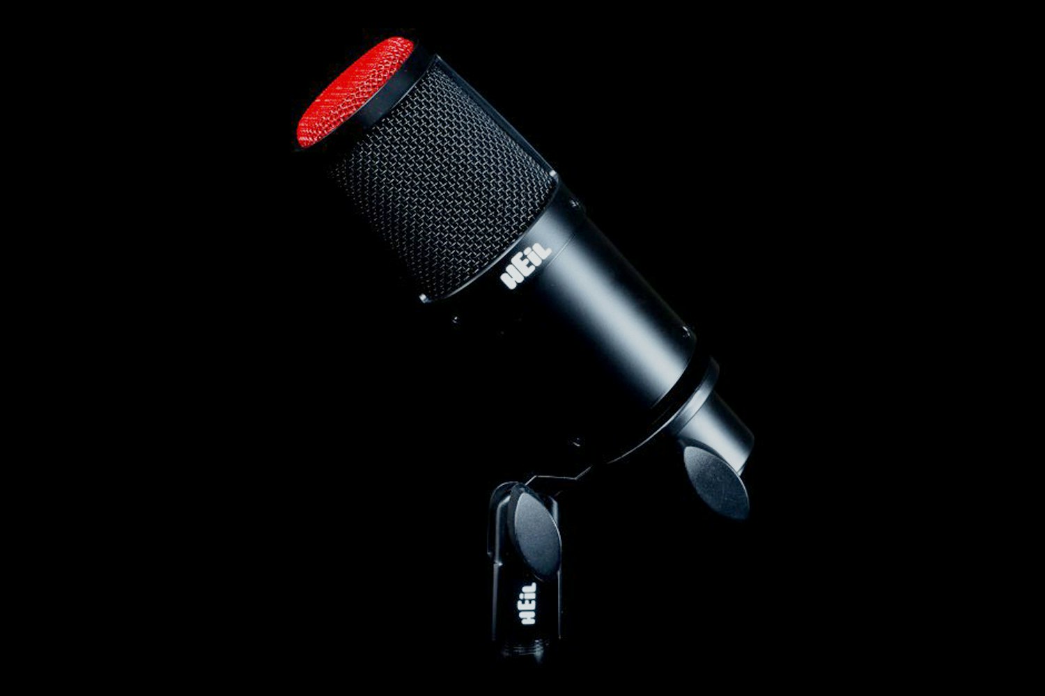 Heil PR30 Microphone