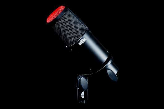 Heil PR30 Microphone