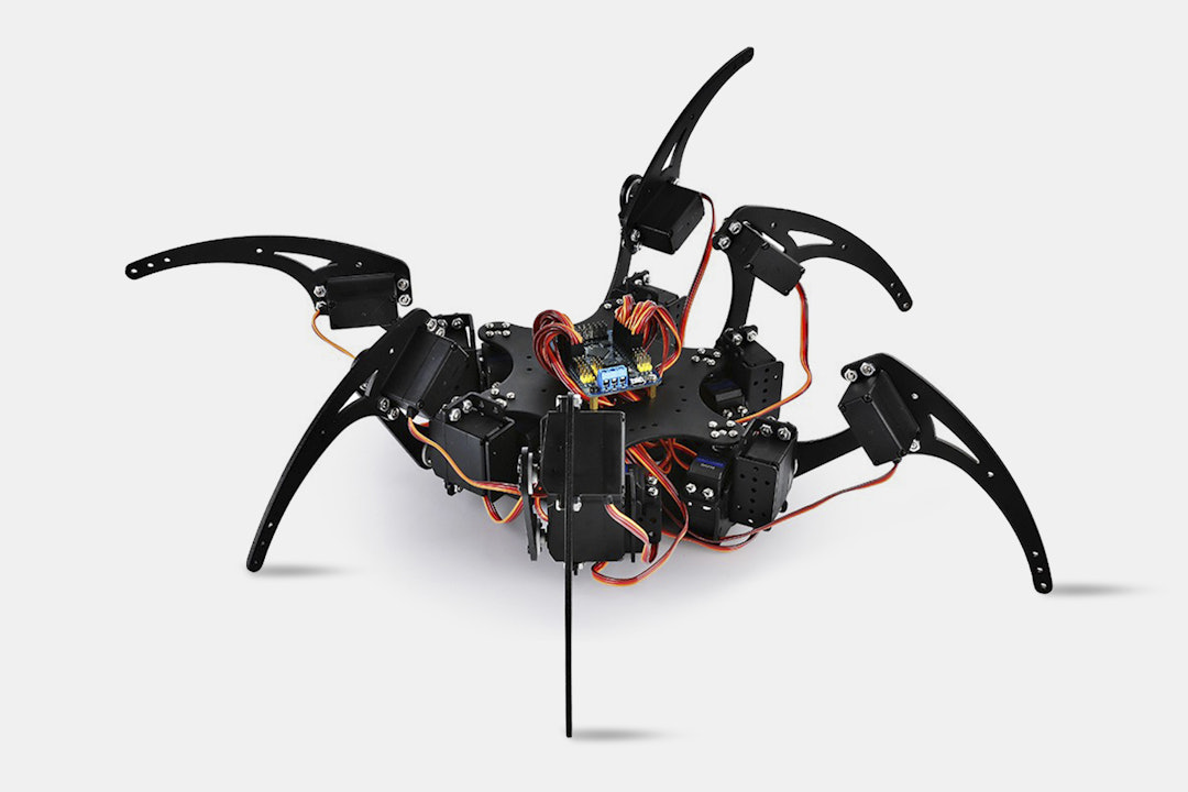 Hexapod Spider Robot Bundle w/Remote Control