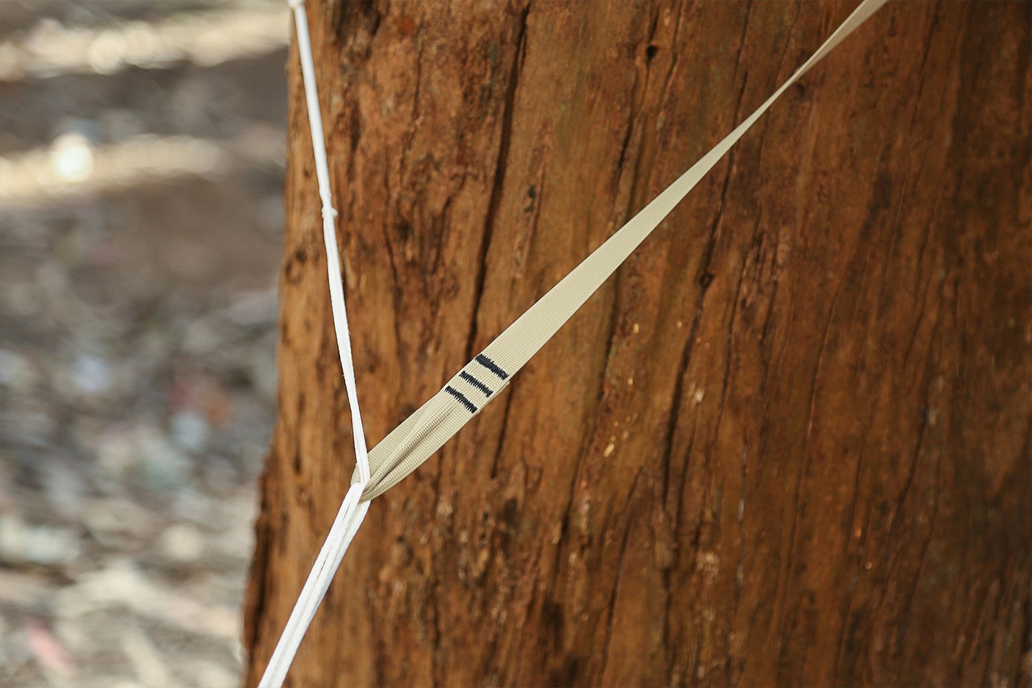 Hummingbird Hammocks Tree Straps Hammocks Drop