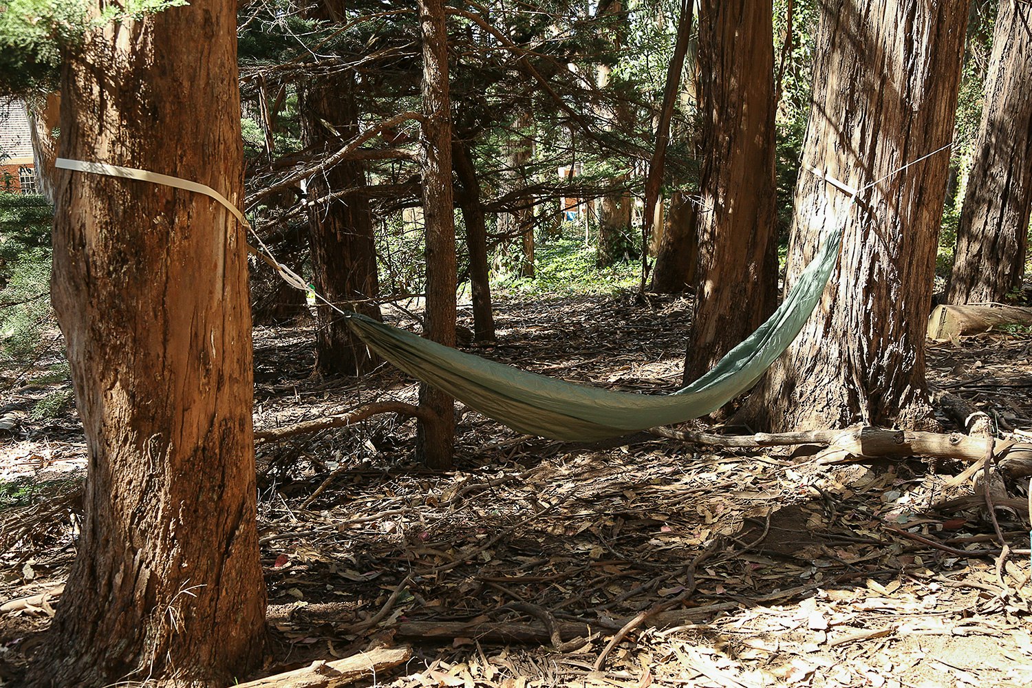 Hummingbird Hammocks Single Hammock Hammocks Drop