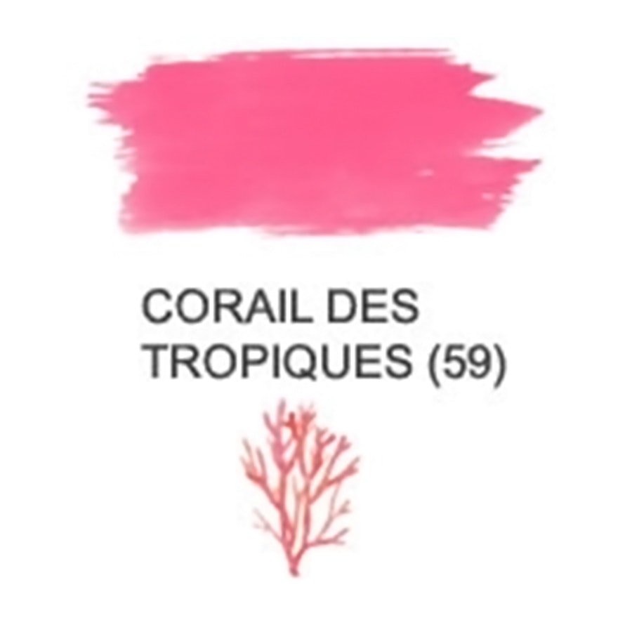 Corail Des Tropiques