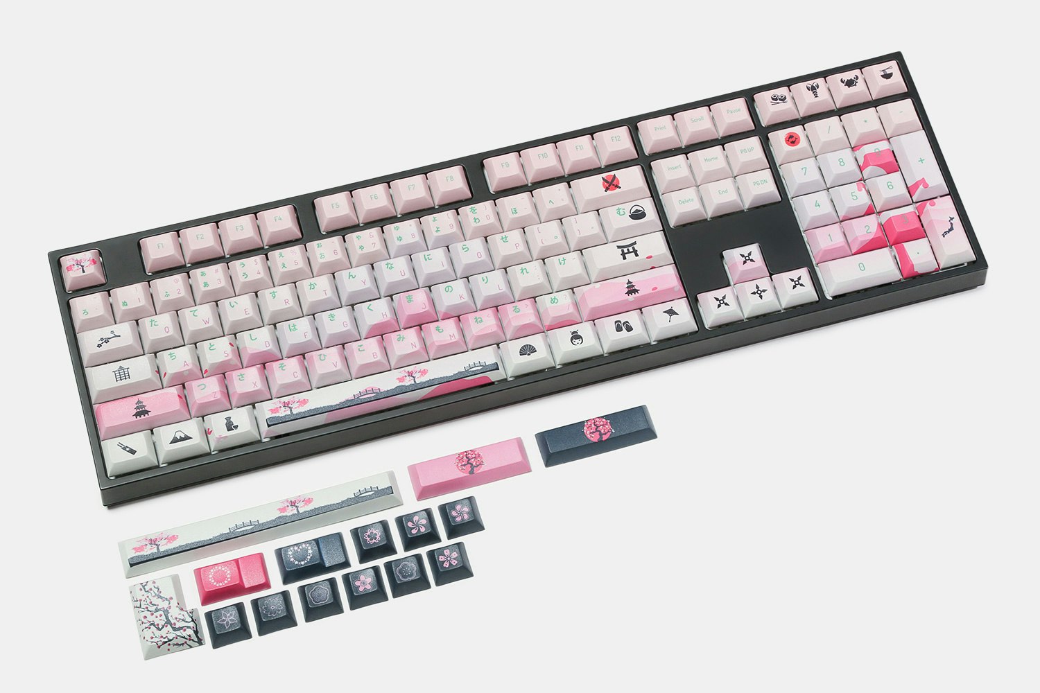 kyoto dsa pbt