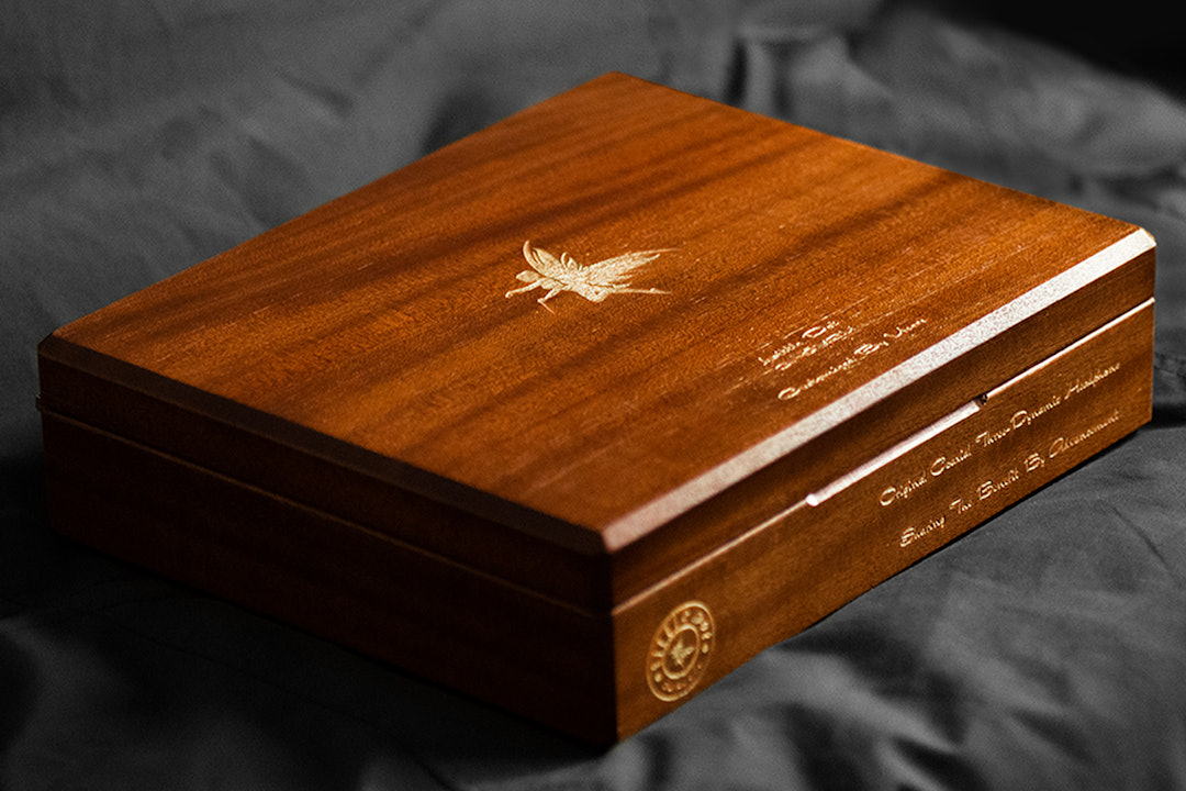 Little Dot GYFU Headphones