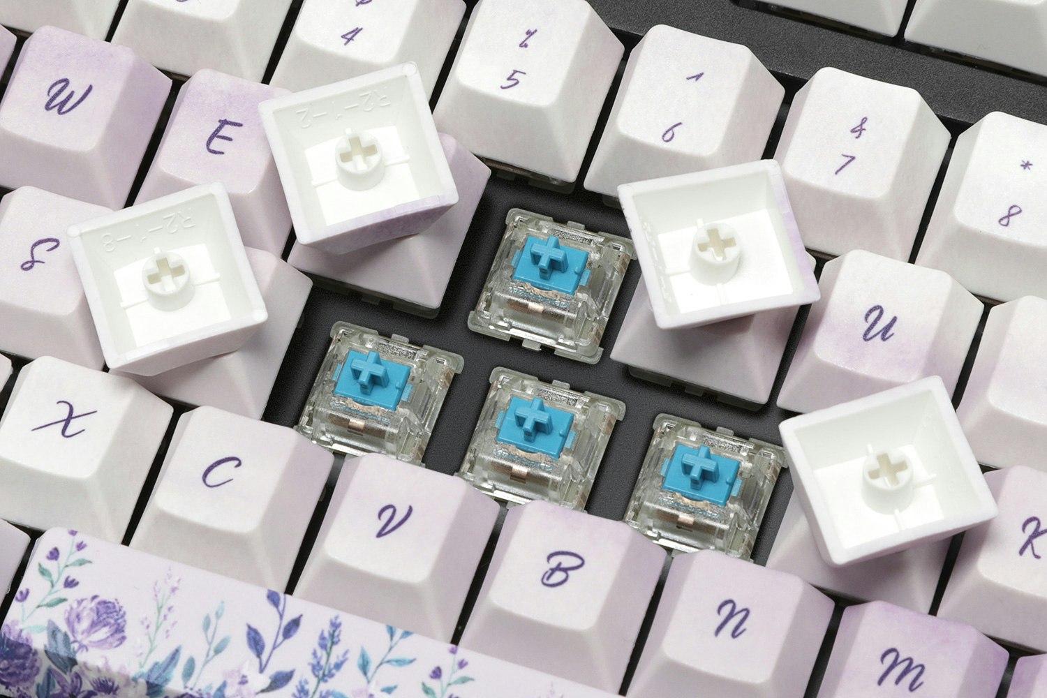 LOOP Mysterious Garden Dye-Subbed PBT Keycap Set