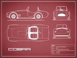 Cobra- Red