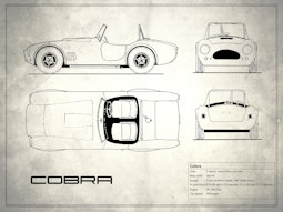 Cobra - White