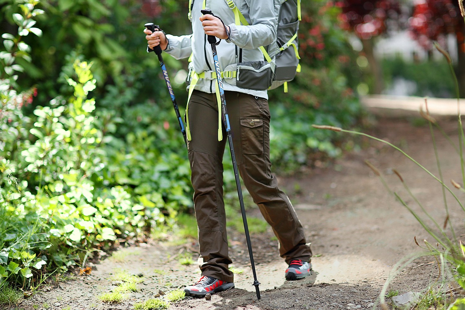 Drop + Fizan Compact Trekking Poles