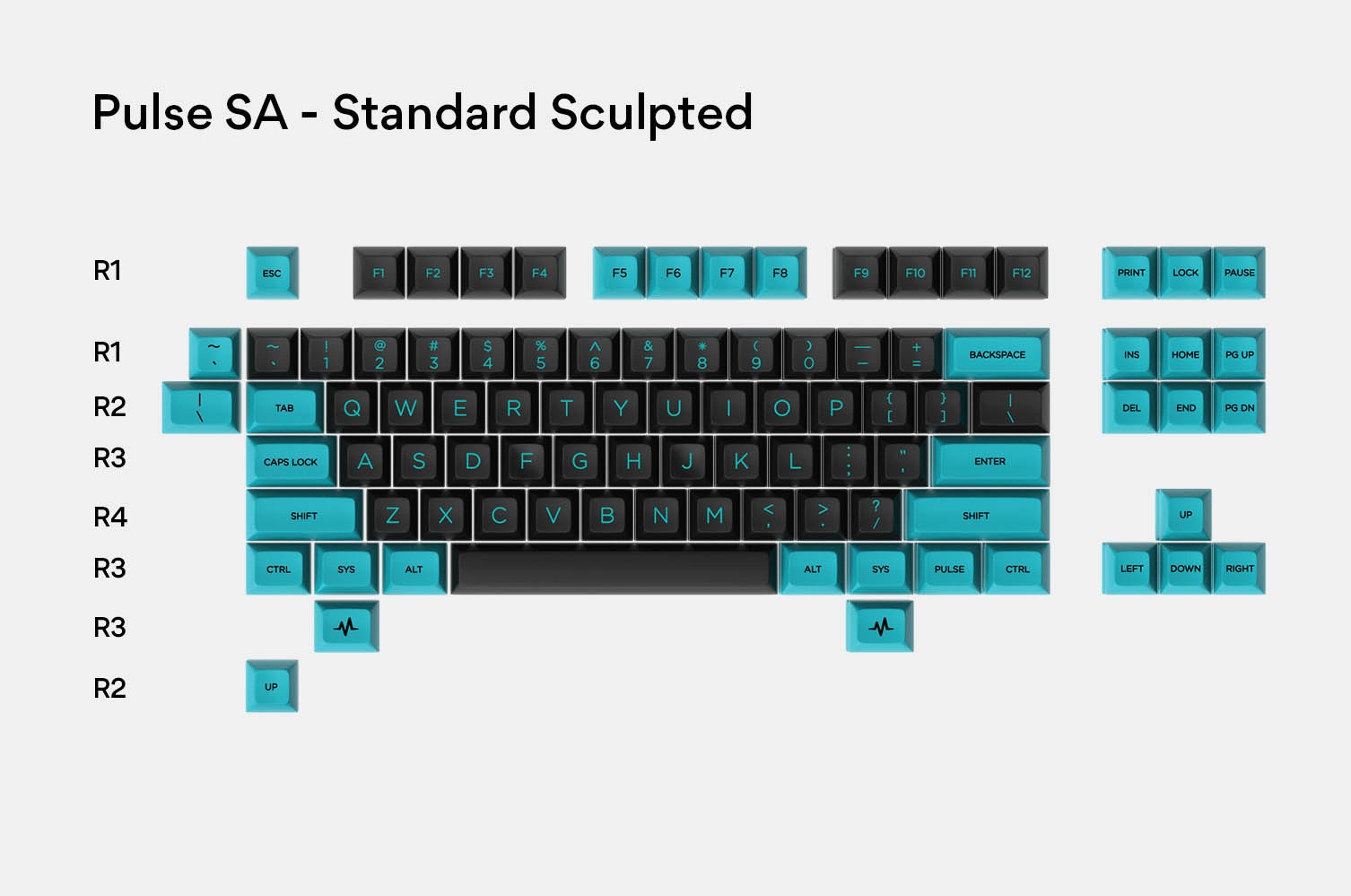 Pulse SA - Standard Sculpted