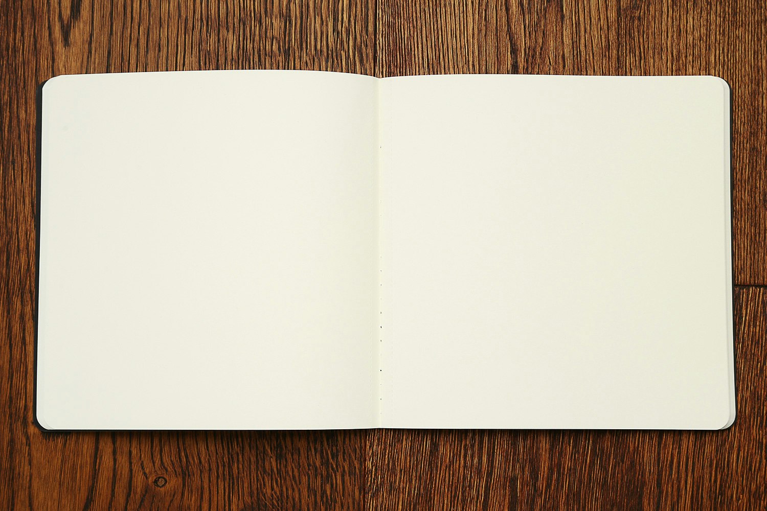 Moleskine Art Plus Sketch Album (2-Pack)